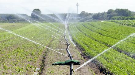 Über das Ausmaß der Förderung der Landwirtschaft in der nächsten EU-Finanzperiode ab 2021 muss erst noch entschieden werden.