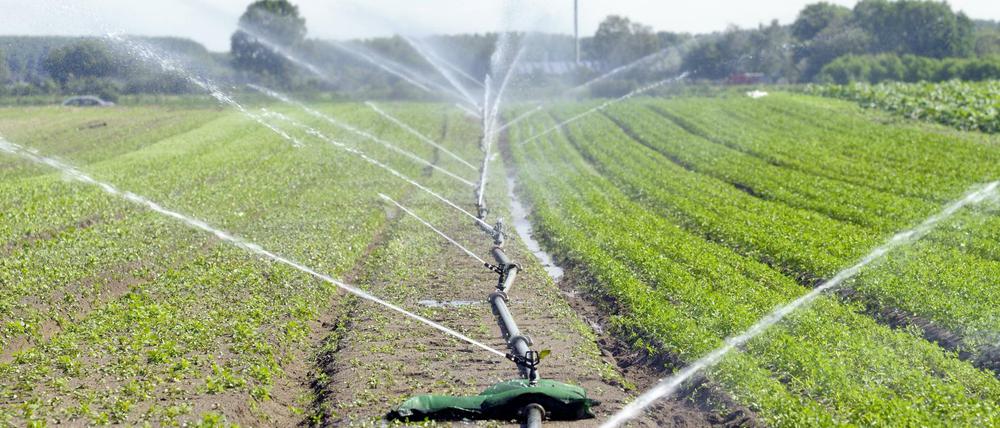 Über das Ausmaß der Förderung der Landwirtschaft in der nächsten EU-Finanzperiode ab 2021 muss erst noch entschieden werden.