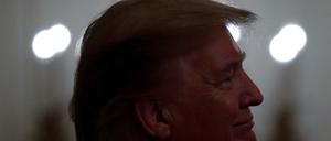 Donald Trump, der illiberale Nationalist par excellence 