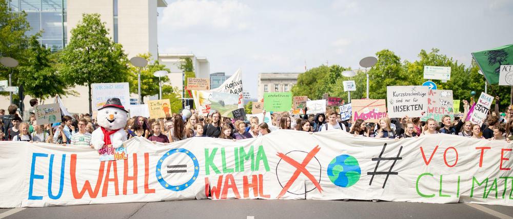 Europawahl ist Klimawahl: Zu den Demonstrationen hatten Ortsgruppen von "Fridays for Future" deutschlandweit mobilisiert.
