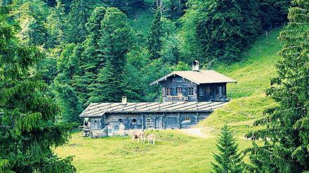 Hoch hinauf. In den bayerischen Bergen gibt es heute rund 1400 Almen, auf denen die Jungrinder grasen.