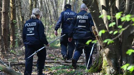 Polizeibeamte suchen in einem Waldgebiet bei Brieselang nach Spuren der vermissten Georgine Krüger.