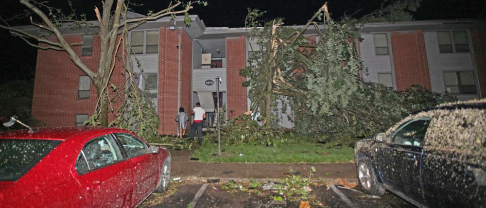 Zerstörte Bäume vor einem Haus in Dayton.