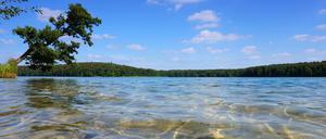 Märkische Lagune. Türkisblaues Wasser, leise plätschernde Wellen, metertiefe Sicht. Am Stechlin lässt sich's durchatmen. 
