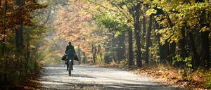 Über den Kronprinzessinnenweg soll ein komfortabler Radschnellweg durch den Grunewald führen.
