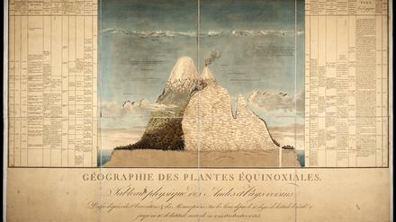 Von Küste zu Küste: Humboldts weltberühmtes "Tableau physique des Andes"