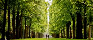 Wanderparadies Berlin - hier im Tiergarten kurz vor der Siegessäule. 