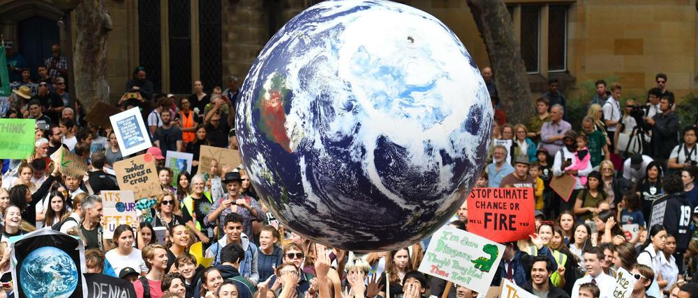 Fridays for Future beschäftigt seit Monaten die Politik. Das schlug sich auch in den Wahlergebnissen nieder.