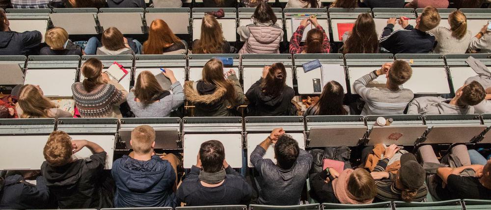 Es werden sich dauerhaft mehr Studierende einschreiben.