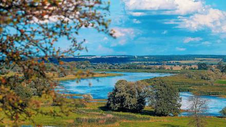 Schier endlose Weite. Rund 60 Kilometer lang und bis zu 20 Kilometer breit ist das Oderbruch. 