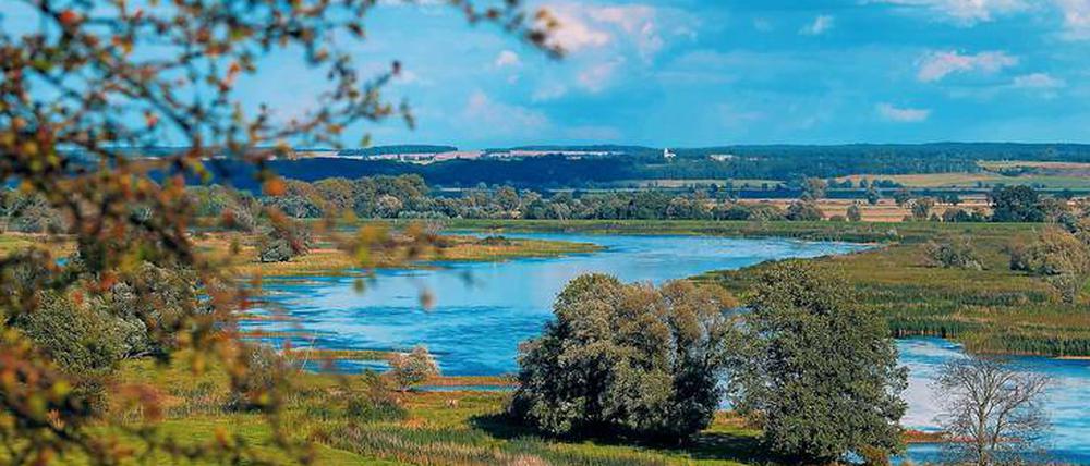 Schier endlose Weite. Rund 60 Kilometer lang und bis zu 20 Kilometer breit ist das Oderbruch.
