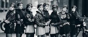 Windhund Adé. Die Supermodels in Biker-Kluft.