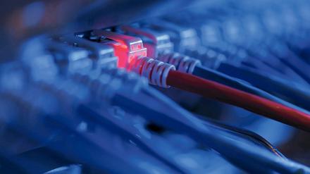 Weil ihr Internet zu langsam ist, bemühen sich die Unternehmen im Darßer Bogen um Breitbandförderung und geraten in ein bürokratisches Wirrwarr.