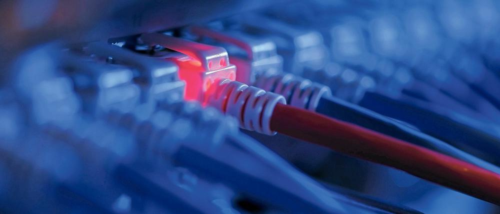 Weil ihr Internet zu langsam ist, bemühen sich die Unternehmen im Darßer Bogen um Breitbandförderung und geraten in ein bürokratisches Wirrwarr.