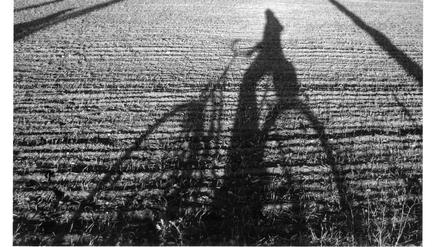 Schatten-Radler - fotografiert von Jürgen Kraetz bei Neuglobsow. 