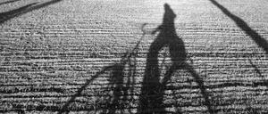 Schatten-Radler - fotografiert von Jürgen Kraetz bei Neuglobsow. 