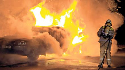 Für zehn Luxus-Autos schlossen die vermeintlichen Betrüger Leasingverträge ab. Danach inszenierten sie Wildunfälle oder Brände.