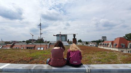 Der Himmel über dem Berliner Gründach. Schon vor Jahrzehnten hatte der Senat diese gefördert. 