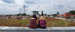 Der Himmel über dem Berliner Gründach. Schon vor Jahrzehnten hatte der Senat diese gefördert. 