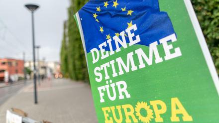 Bei der letzten Europawahl holten die Grünen bundesweit 20,5 Prozent.