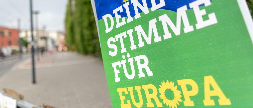 Die Grünen haben bei der Europawahl einen Nerv getroffen, bleiben aber eine Minderheit, auch in Deutschland. 