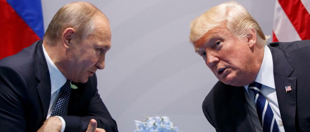Wladimir Putin (l), Präsident von Russland, und Donald Trump, Präsident der USA, sprechen miteinander beim G20-Gipfel.