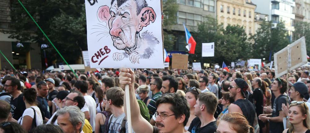 Zehntausende Demonstranten protestieren am Dienstag auf dem zentralen Wenzelsplatz in Prag gegen Regierungschef Babis.