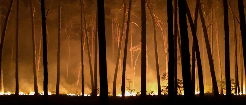 Waldbrand in der Nähe von Jüterbog. In Brandenburg waren seit Beginn der Woche mehrere Waldbrände ausgebrochen.