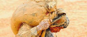 Auf dem Rücken. Der Abbau der seltenen Erden ist hart und umweltschädlich – deshalb waren Industrieländer bislang froh, dass China das übernommen hat. 