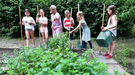 Grundschülerinnen arbeiten mit ihrer Lehrerin im Schulgarten.