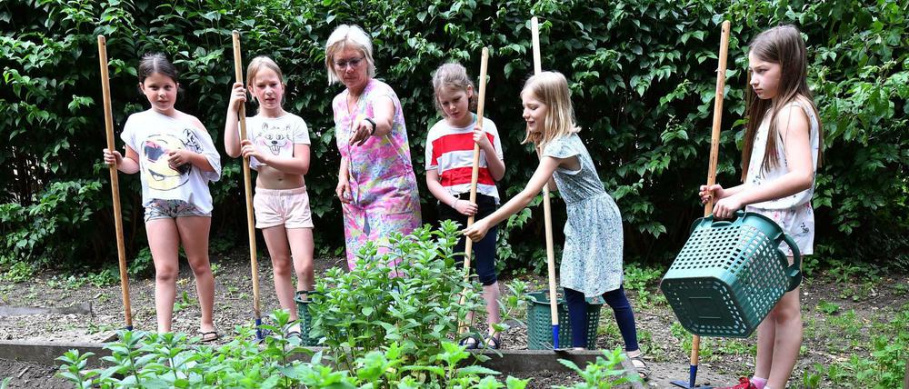 Grundschülerinnen arbeiten mit ihrer Lehrerin im Schulgarten.