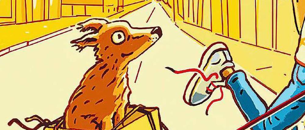 Lara Schützsack: Sonne Moon und Sterne, Sauerländer Verlag, 2019,239 Seiten, 14 €, ab zehn Jahren 