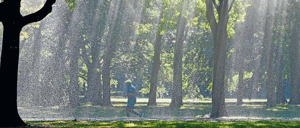Im Tiergarten werden die Grünflächen auch tagsüber gewässert. Damit ist er eine Ausnahme unter den Parks, die unter Dürre leiden.