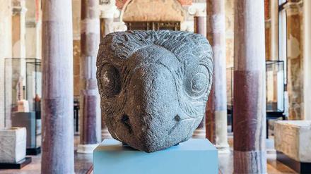 Ein aztekischer Adler zu Besuch auf der Museumsinsel. 