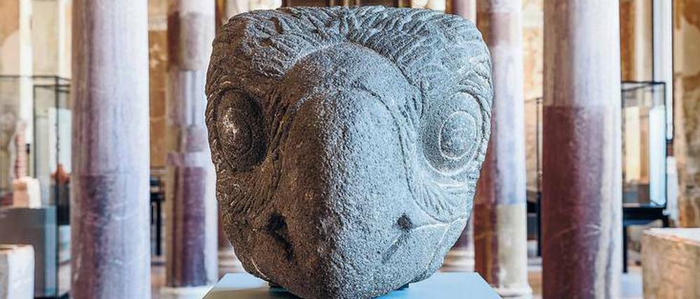 Ein aztekischer Adler zu Besuch auf der Museumsinsel. 