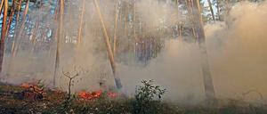 Einsatzkräfte bekämpften das Großfeuer bei Jüterbog seit vergangenem Dienstag. Doch die Gefahr der Glutnester bleibt bestehen.
