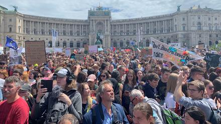 Kürzlich protestierten in Wien 35.000 Menschen bei "Fridays for Future". Unsere Redakteurin war mit ihrer Tochter zufällig in der Stadt.
