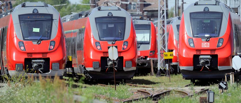 Unkraut wuchert an Gleisanlagen der Bahn.