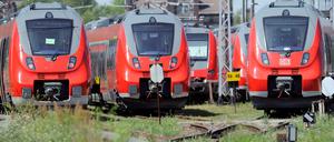 Unkraut wuchert an Gleisanlagen der Bahn.