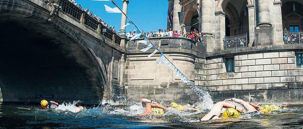 Klarer Fall. 2016 und 2018 war der Spreekanal sauber genug für den Flußbadpokal.