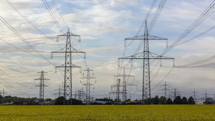Eindeutiger Profiteur einer solchen Angleichung wäre der Stromsektor.  