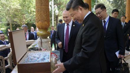Xi Jinping freut sich bei 30 Grad Außentemperatur über die Geste von Wladimir Putin.