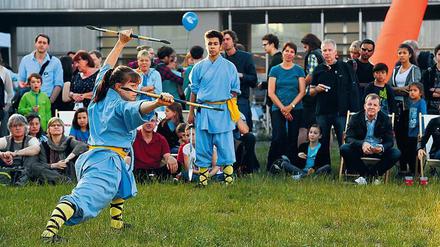 Kampfkunst in Perfektion. Schülerin des Shaolin Tempels beim Kungfu.