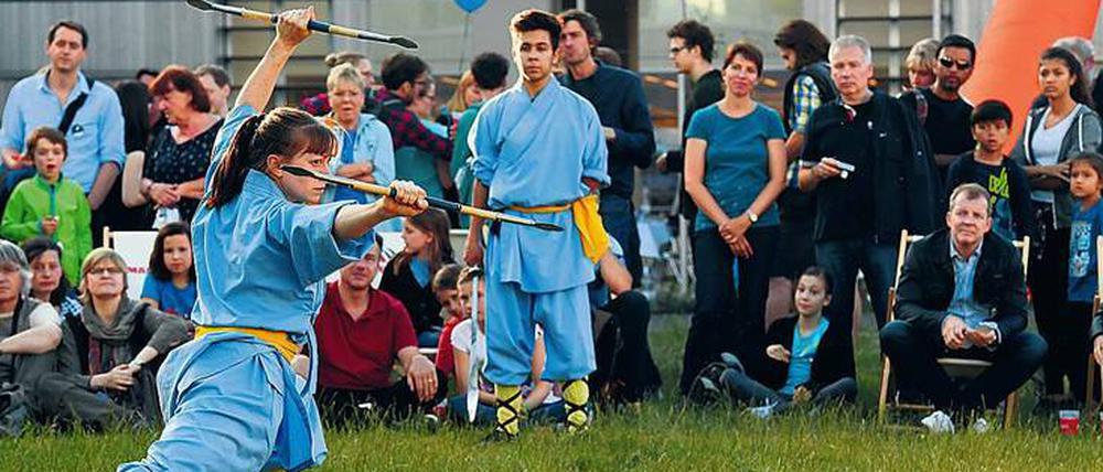 Kampfkunst in Perfektion. Schülerin des Shaolin Tempels beim Kungfu.