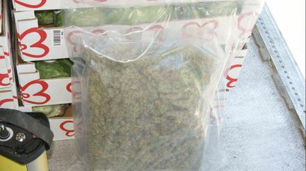 Die Marihuana-Päckchen lagen zwischen Salatköpfen.