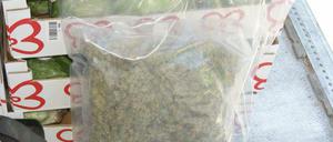 Die Marihuana-Päckchen lagen zwischen Salatköpfen.