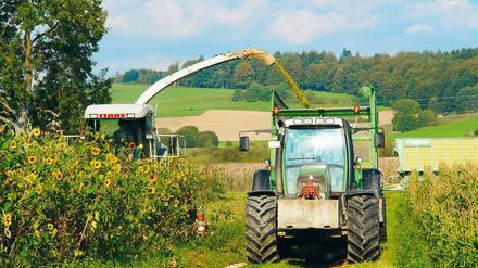 Ein Mix für Biogas dient auch der Artenvielfalt.