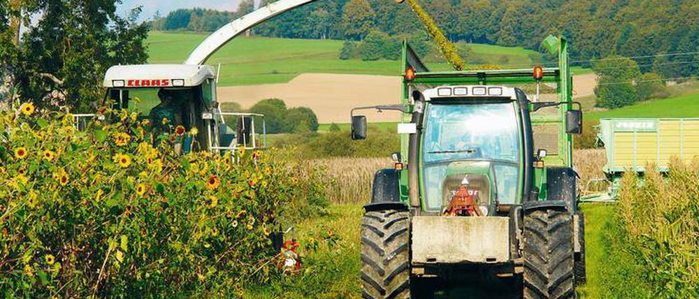 Ein Mix für Biogas dient auch der Artenvielfalt.