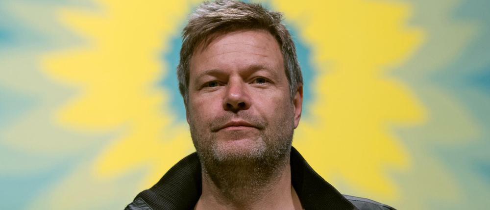 Derzeit vom Erfolg beschienen: Grünen-Chef Robert Habeck.