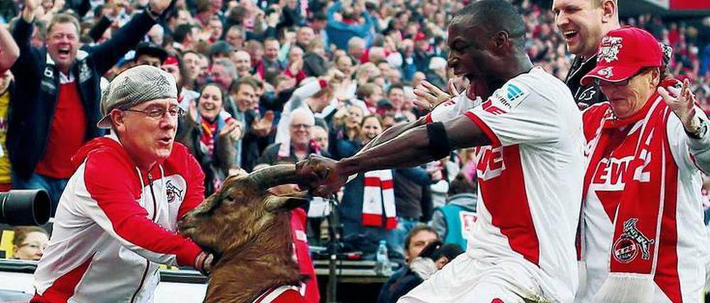 Vergriffen. Anthony Ujah bejubelt als Kölner im März 2015 ein Tor und packt dann FC-Maskottchen Hennes VIII. Später entschuldigte er sich bei Geißbock und Fans.